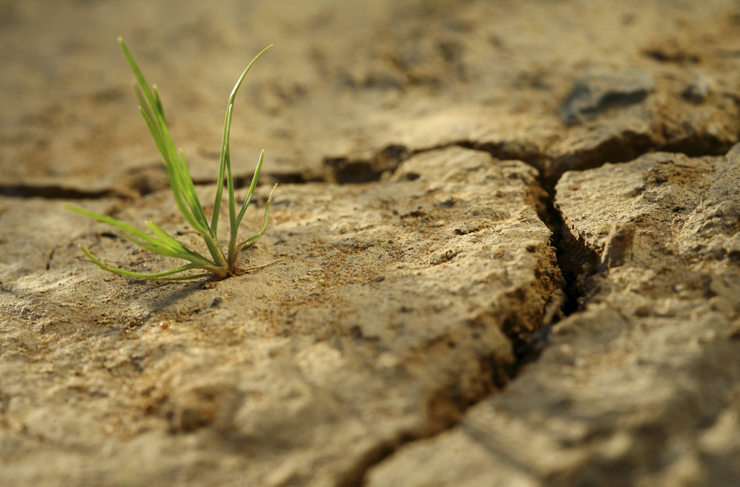 Businesses condemn level of funding support