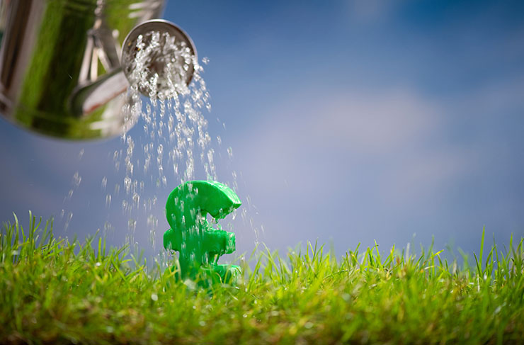 Understanding the 8 ‘P’s of sustainable growth