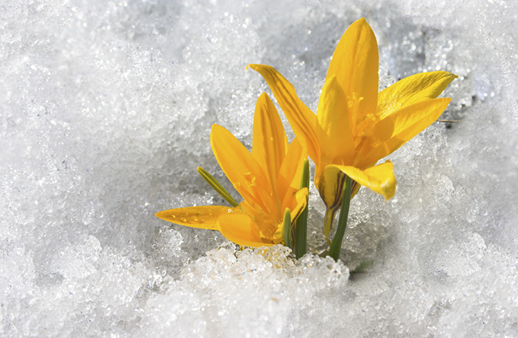 Developing a resilience plan that will prepare your business for anything