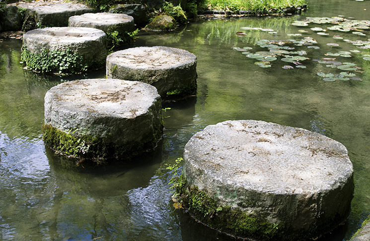 7 steps to better cash flow management