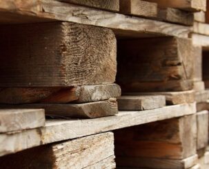 Funding boost to support restructure of leading timber business