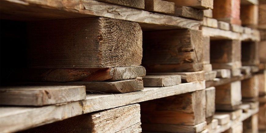 Funding boost to support restructure of leading timber business